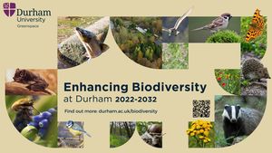 Durham University image #1