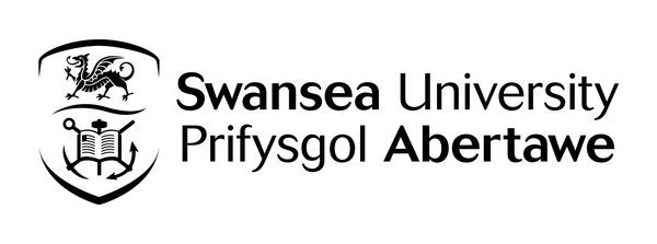 Swansea University image #1